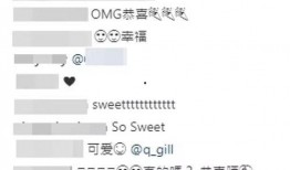 香港爆料名单最新消息,揭秘事件背后真相与人物关系”